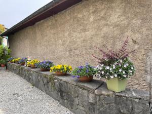 Imagen de la galería de Casa Realba, en Brissago