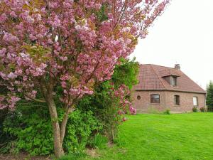 a tree with pink flowers in front of a house at Les chambres du Vert Galant "La campagne qui murmure" in Verlinghem