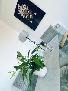 Afbeelding uit fotogalerij van Unique view of Anfield stadium - Charming 2 bedroom apartment in Liverpool with parking in Liverpool +17 foto's