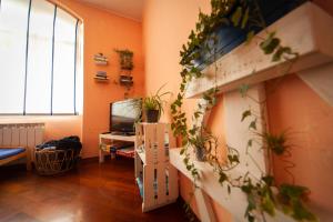 uma sala de estar com plantas na parede em Casa Iaia em Muggia