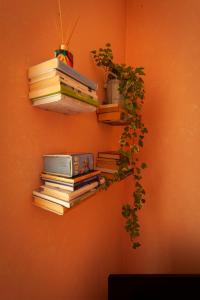 uma pilha de livros numa parede com uma planta em Casa Iaia em Muggia