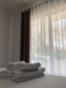 Voodi või voodid majutusasutuse Apartments kupi ul rudaj 41 toas