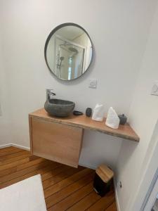 uma casa de banho com um lavatório e um espelho na parede em Magnifique cocon sous les chênes em Saint-Martin-de-Londres