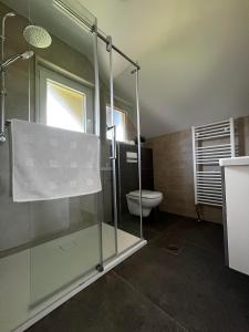 a bathroom with a glass shower and a toilet at Apartment Oddih in Bled