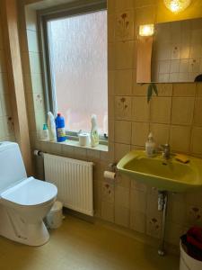 baño con aseo y lavabo y ventana en Lejlighed med egen indgang midt i Nykøbing Falster, en Nykøbing Falster