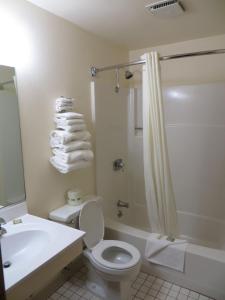 a bathroom with a toilet and a sink and a shower at FairBridge Inn & Suites Spearfish in Spearfish +18 photos