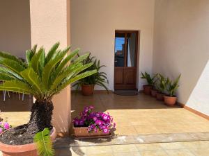 Imagen de la galería de B&B Domenico Paulis, en Tuili