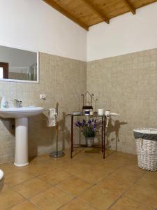 a bathroom with a sink and a counter with a mirror at B&B Domenico Paulis in Tuili