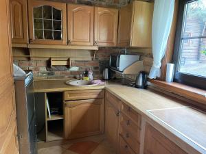 a kitchen with wooden cabinets and a sink and a microwave at Kurėnų Užeigos Svečių Namai in Kurėnai