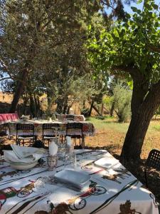 VizziniにあるCosi Priziusiの木の下に座るナプキンと皿を並べたテーブル