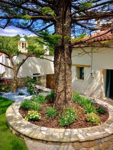 Zahrada ubytování Chorio House Platanias