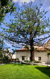 a tree in the middle of a yard with a house at Chorio House Platanias in Vrísai