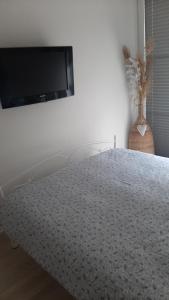 Telewizja i/lub zestaw kina domowego w obiekcie Apartament Port