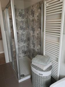 a bathroom with a shower and a basket at Sofia's Cottage in Sommacampagna