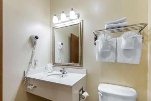 a bathroom with a toilet, sink and mirror at Quality Inn & Suites Wellington – Fort Collins in Wellington
