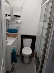 Ti Feunteun Pontrev في Pontrieux: حمام صغير مع مرحاض ومغسلة