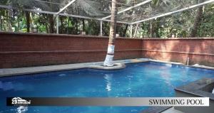 a swimming pool with a palm tree in it at Sea breeze Private Pool Villa - alibaug by 29 Bungalow in Nagaon