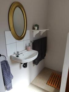 a bathroom with a sink and a mirror at Sheeprun Farmstay in Maclear