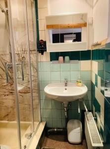 a bathroom with a sink and a shower at schöne ruhige Ferienwohnung in Tambach-Dietharz