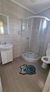 La salle de bains est pourvue d'une douche, d'un lavabo et de toilettes. dans l'établissement Casa Dana, à Tăşnad