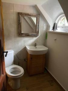 a bathroom with a toilet and a sink and a mirror at Klimatyczny dom u podnóża Śnieżki in Karpacz