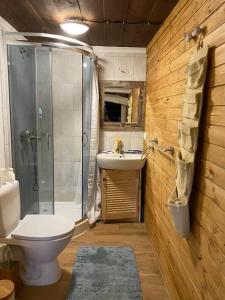 a bathroom with a toilet and a shower and a sink at Klimatyczny dom u podnóża Śnieżki in Karpacz