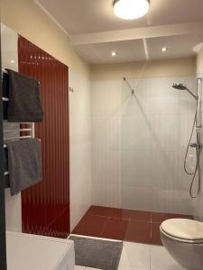 łazienka z prysznicem i toaletą w obiekcie Panama Apartament 3 Poznań w Poznaniu