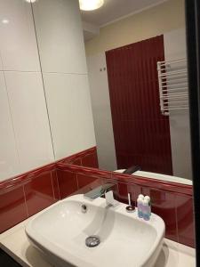 W łazience znajduje się biała umywalka i lustro. w obiekcie Panama Apartament 3 Poznań w Poznaniu