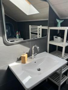 een badkamer met een wastafel en een spiegel bij Apartment BERGfamilie - gemütlich ausgestattet, ruhig und familienfreundlich in Schliersee