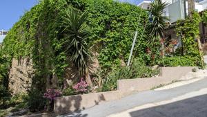 a retaining wall with stairs and flowers next to a building at Pension Irene in Sougia