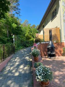 a brick walkway with potted plants and a fireplace at Waldwerk Wurlgrund Lychen in Lychen