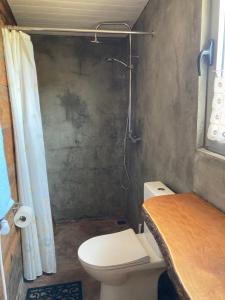 uma pequena casa de banho com WC e chuveiro em Cabana do Dinamarquês em Arga de Baixo em Arga de Baixo