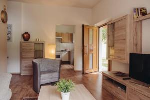 a living room with a couch and a television at Aparthotels Berwang / Haus Wiesengrund in Berwang