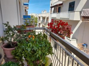 a balcony with potted plants and flowers on it at B&B familiare Arcadia Polignano in Polignano a Mare
