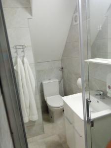 La petite salle de bains est pourvue de toilettes et d'un lavabo. dans l'établissement Dora&Paulo sweet countryside cottage, à Babino Polje