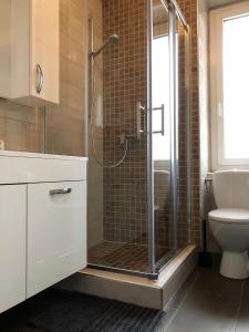 La salle de bains est pourvue d'une douche, de toilettes et d'un lavabo. dans l'établissement Appartement LUNA avec parking couvert privé, au Locle