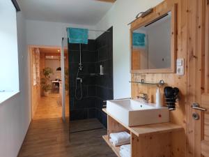 łazienka z umywalką i prysznicem w obiekcie Gästehaus - Camping- Weinhof Radl w mieście Klöch