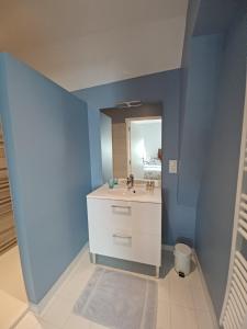 翁赞Rêve de Loire chambres d'hôtes au calme au pied des châteaux de la Loire的带水槽和镜子的浴室 更多16张照片