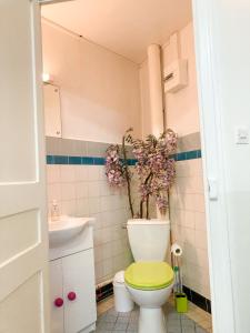 a bathroom with a toilet with a green lid at La Villa Victoria -Malzéville Village -120m2 in Nancy