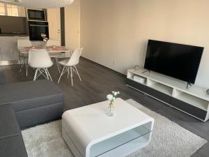 TV a/nebo společenská místnost v ubytování Soukromý byt 2+kk s balkónem a parkováním