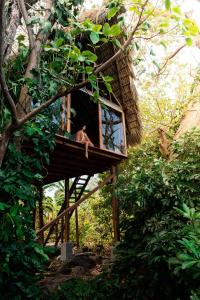 a person is sitting in a tree house at El Pital, Chocolate Paradise in Balgue