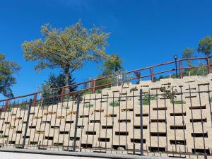 einem großen Amphitheater mit einem Zaun und einem Baum in der Unterkunft Belvilla by OYO Poggio Marino in Carpegna