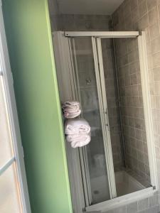 een badkamer met een douche en handdoeken. bij Le Lion d'Or in La Chaise-Dieu