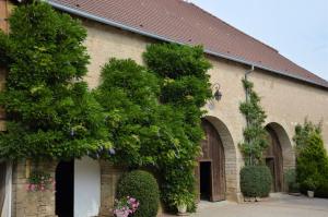 La ferme aux glycines في Aillevans: مبنى عليه مجموعه من النباتات