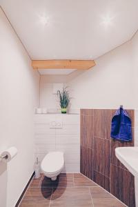 a bathroom with a toilet and a sink at Große Ferienwohnung mit Balkon und perfekter Lage in Eggenthal