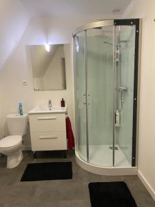 a bathroom with a shower and a toilet and a sink at Maison de Campagne in Sarroux