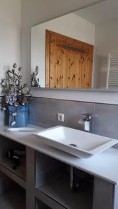 a bathroom with a white sink and a mirror at Ferienwohnung Born am Darßwald EG in Born