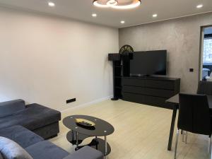 a living room with a couch and a tv at Tammsaare Luxury Apartment in Pärnu