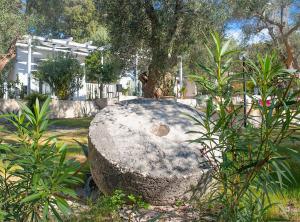 a large rock sitting in the middle of a garden at Frontemare Hotel Village & Ristorante in Rodi Garganico