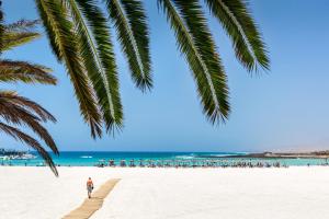 un hombre caminando por la playa bajo una palmera en Barceló Fuerteventura Royal Level - Adults Only en Caleta de Fuste
